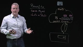 ONTAP Cloud for AWS