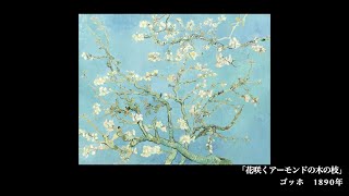 【日めくり3分間名画】15枚目 ゴッホ 「花咲くアーモンドの木の枝」