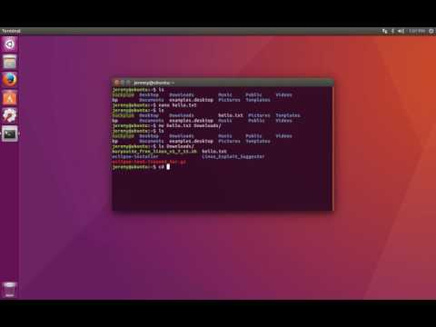 How to Rename Files and Folders in Linux