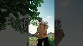 十秒的视频，学会李子七的拍摄方式 人设打造如何将乡村生活拍出高级感寻找抖音摄影课代表拍摄技巧艺术在抖音