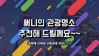 [산림관광 코디네이터단] 예천 소백산 하늘공원자락길, 써니의 관광명소 추천해 드릴께요~~