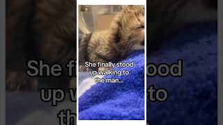 utomp3 com   She finally met her mom wholesome animals 1080p#animal #cuteanimals #naturecrew