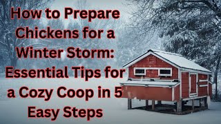 How to Prepare Chickens for a Winter Storm: Essential Tips for a Cozy Coop