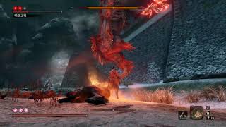 (SEKIRO)嗟怨之鬼 _不死斬使用