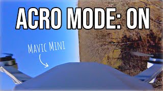 Mavic Mini Freestyle... Wait, WHAT?? 😳 DJI in ACRO mode