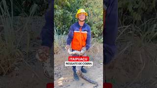 Itaipuaçu Maricá  Durante o incendio cobra é acuada e a Defesa Civil faz um excelente trabalho.