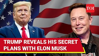 Trump’s Sensational Announcement: ‘Elon Musk Will Head U.S…,’ Touts Major Economic Blueprint