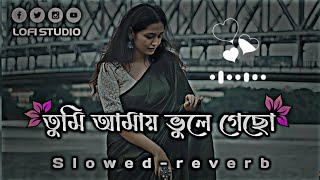 tumi amay vule gecho tate kono dukkho nai || তুমি আমায় ভুলে গেছো || (Slowed//reverb) Song || #lofi