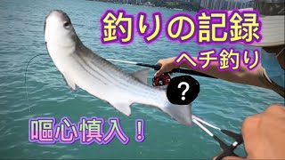 太嘔心！寄生生物｜香港前打釣魚｜ヘチ釣り 前打 Hechi｜北角｜HongKongFishing