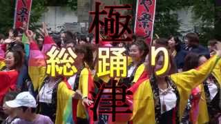 極津2014(総踊り) ③ 第15回 こいや祭り 丼舞Re：  京橋駅前広場会場