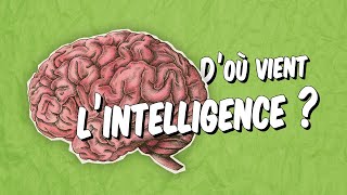 Psychologie - L'intelligence est-elle naturelle ou culturelle ?