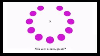 Effetto phi su post-immagine