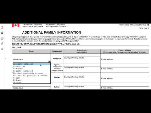 Imm 5406 Additional Family Information Form For Canada Step By Step How ...