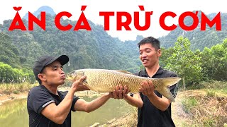 ĂN CÁ THAY CƠM/TỰ THỢ RỪNG