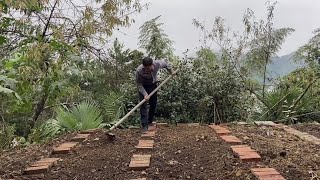 春天种的菜已经完全结束，又种了一茬过冬的菜。#山居生活