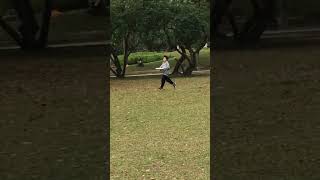 大家一起來大安森林公園逛逛走走吧👀看這位飛盤🥏高手👋的厲害👍吧。