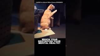 Which years destroyed your mental health ?🧠 #shorts #mentalhealth #broken #inspiration #viral