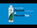 Flourish Flourish Comprehensive and Flourish Tab [ENG SUB]