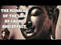 Buddhism:  The Miracle of the Law of Cause and Effect