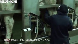 福良牧場の作業風景【十勝本別町にある福良牧場】