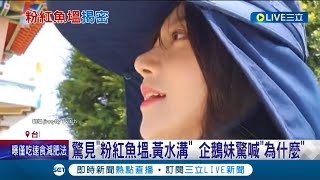 企鵝妹驚問:為什麼? 粉色魚塭.黃色水溝引發網友好奇討論 環保局不敢大意前往檢測\