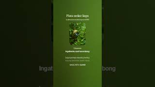 Lagu santai pinta seekor kupu slow bet