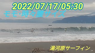 湯河原サーフィン2022年7月17日05:30 モモ･時々腰サイズ。