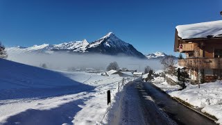 Alex的散装Vlog | 随处可见的滑雪场 | 多雪的冬天 Winter | 雪地散步 Snowland | 图恩湖周边 Around Lake Thun | 雪景 | 白色圣诞节后