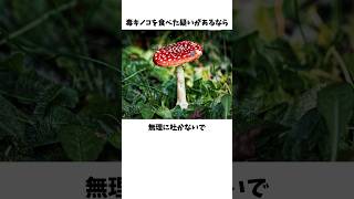 いつかあなたの命を救うライフハック part.3 #雑学 #豆知識 #1分雑学