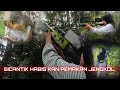 BERBURU‼️HAMA TUPAI PEMAKAN BUAH JENGKOL,TAK DI SANGKA SI CANTIK INI