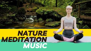 Relaxing Nature Meditation Music forget about stress...