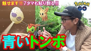 【ポケモンGO】色違えヤンヤンマ！ドクター覚醒！執念の7タマ22連！【10タマでやらかす】