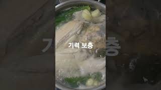 #기력보충 #삼계탕 #감기조심하세요