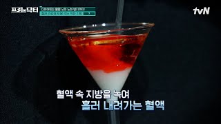 다이어트는 물론 뇌의 노화 방지까지! 혈관 건강에 도움 주는 착한 지방 '이것'은? #[tvN]프리한닥터M EP.105 | tvN 230605 방송