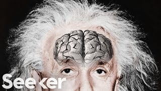 Einstein’s Brain Was Stolen and Chopped Up Into Tiny Pieces...For Science?!