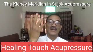 Kidney Meridian in Sujok Acupressure(K-1 to K-27)