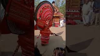 തെയ്യം കണ്ണൂർ / മലബാറിലെ തെയ്യക്കാലം#travelpayyannur #shortvideos #shots