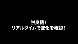 【実験】コンパクト脱臭機の実力を検証してみた #脱臭機 #コンパクト