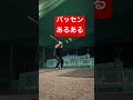 ホームラン@ベースボールキングダム shorts baseball 野球