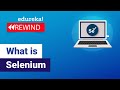 What Is Selenium | Selenium Tutorial For Beginner | Selenium Training | Selenium | Edureka  Rewind-6