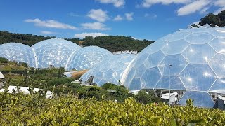 The Problem with The Eden Project… and Idle Chat (whilst mildly concussed in a taxi)