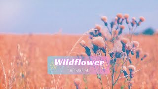 Wildflower 野花 / Skylark [ 中英歌詞 ]