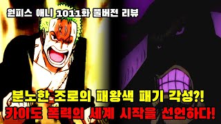 [원피스 애니 1011화 리뷰] 분노한 조로의 패왕색 패기 각성?! 카이도 폭력의 세계 시작을 선언하다!