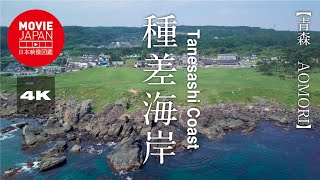 青森　種差海岸  4K  Tanesashi Coast