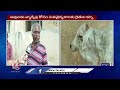 lampi skin virus creates panic in khammam district v6 news