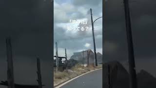 車がめっちゃ汚い。。。雪の華じゃなくて波の花！【冬の佐渡】#shorts のSって佐渡島マークだよね💕