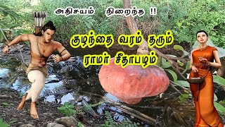 #ராமர் சீதா பழம்| ramar seetha palam