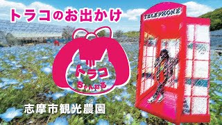 トラコのお出かけ『志摩市観光農園』