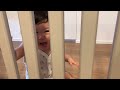 ベビーゲートに邪魔される赤ちゃん　baby being disturbed by baby gate