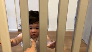 ベビーゲートに邪魔される赤ちゃん　Baby being disturbed by baby gate